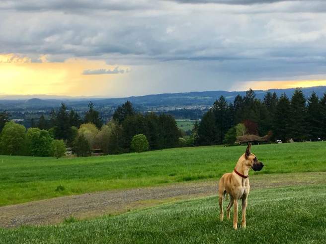 18199235_10211486050019544_8057769319874947676_n