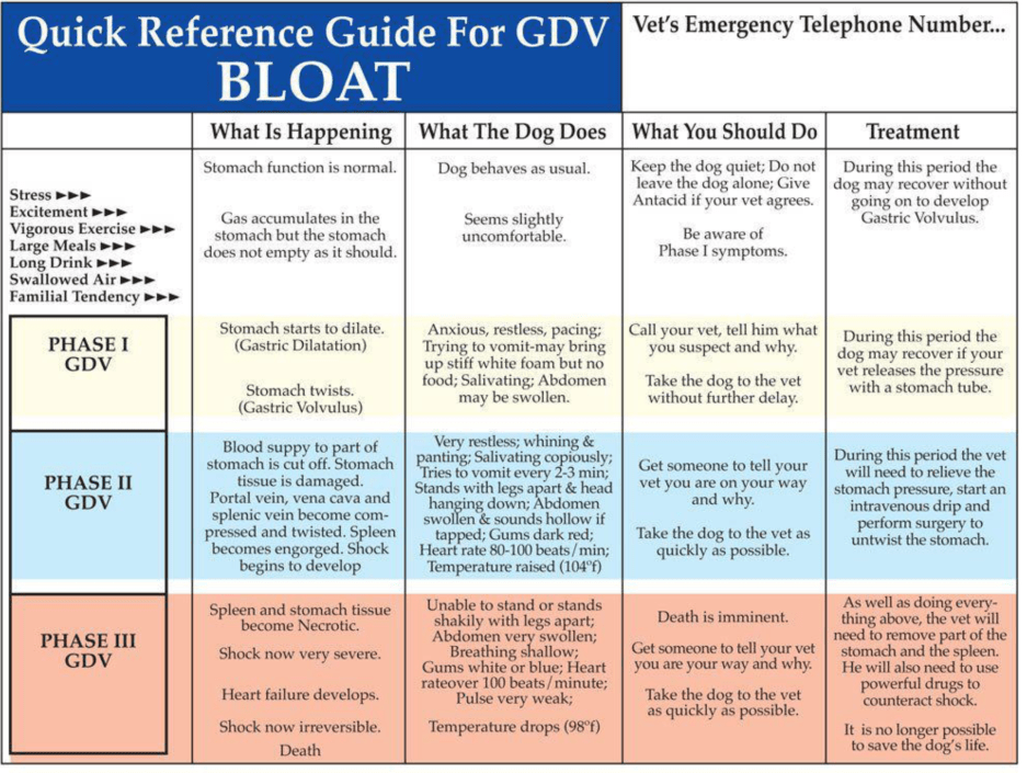 Screen Shot 2017-06-24 at 4.19.42 PM