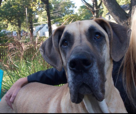 Dunphy_01 - 2018Jan03